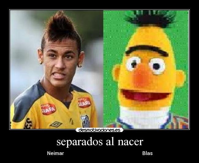 separados al nacer -