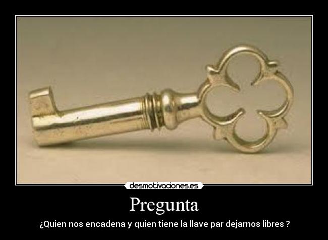 Pregunta - 