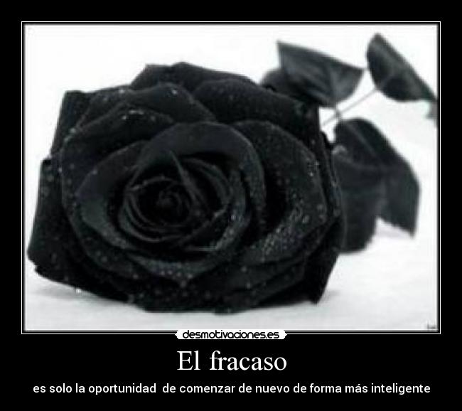 El fracaso - es solo la oportunidad de comenzar de nuevo de forma más inteligente