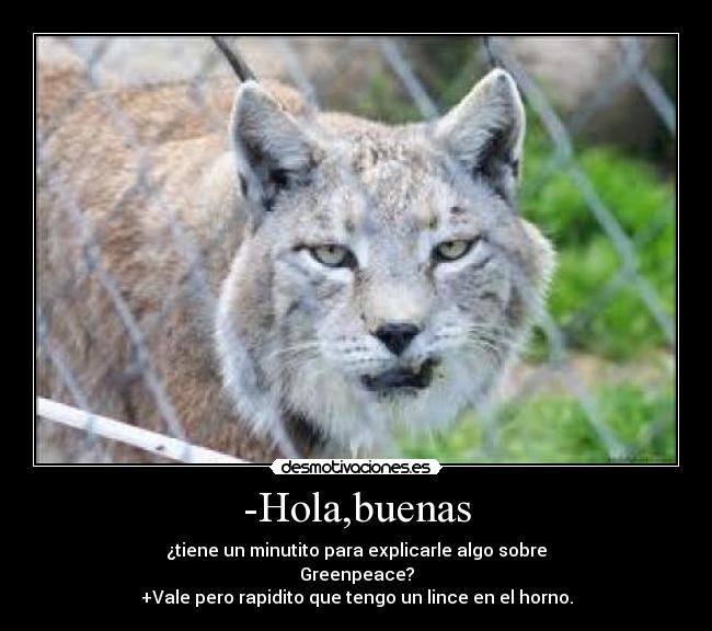 -Hola,buenas - ¿tiene un minutito para explicarle algo sobre
Greenpeace?
+Vale pero rapidito que tengo un lince en el horno.