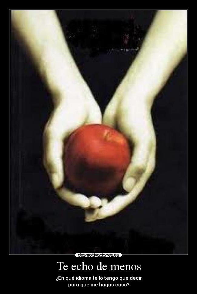 Te echo de menos - 