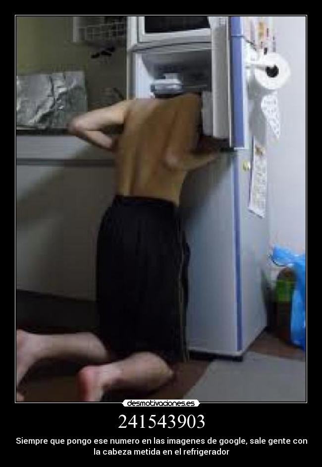 241543903 - Siempre que pongo ese numero en las imagenes de google, sale gente con
la cabeza metida en el refrigerador
