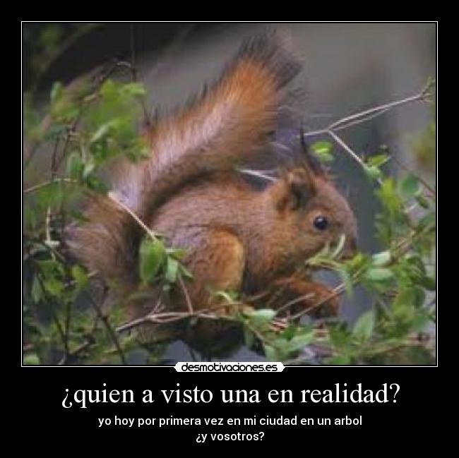 ¿quien a visto una en realidad? -