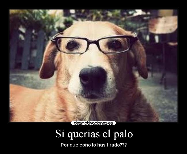 Si querias el palo - Por que coño lo has tirado???