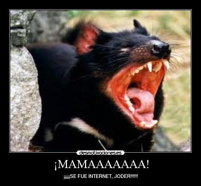 ¡MAMAAAAAAA! - ¡¡¡¡¡SE FUE INTERNET, JODER!!!!!!