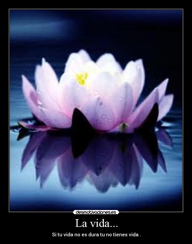 La vida... -