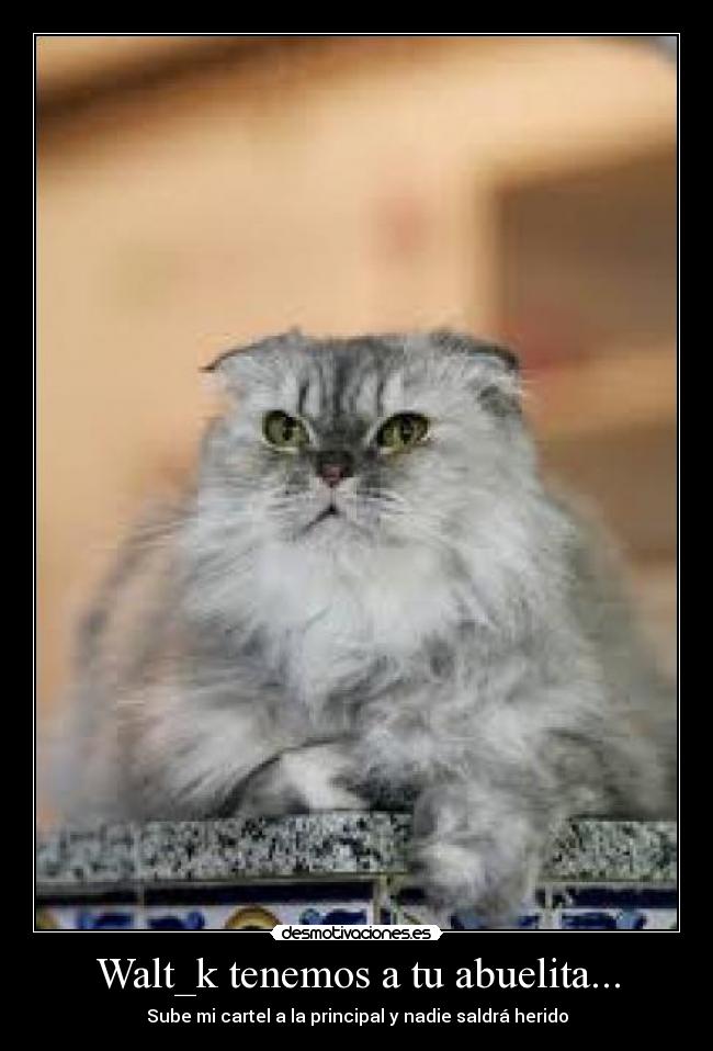Walt_k tenemos a tu abuelita... -