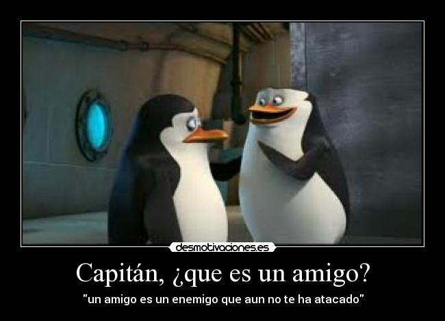 Capitán, ¿que es un amigo? - un amigo es un enemigo que aun no te ha atacado