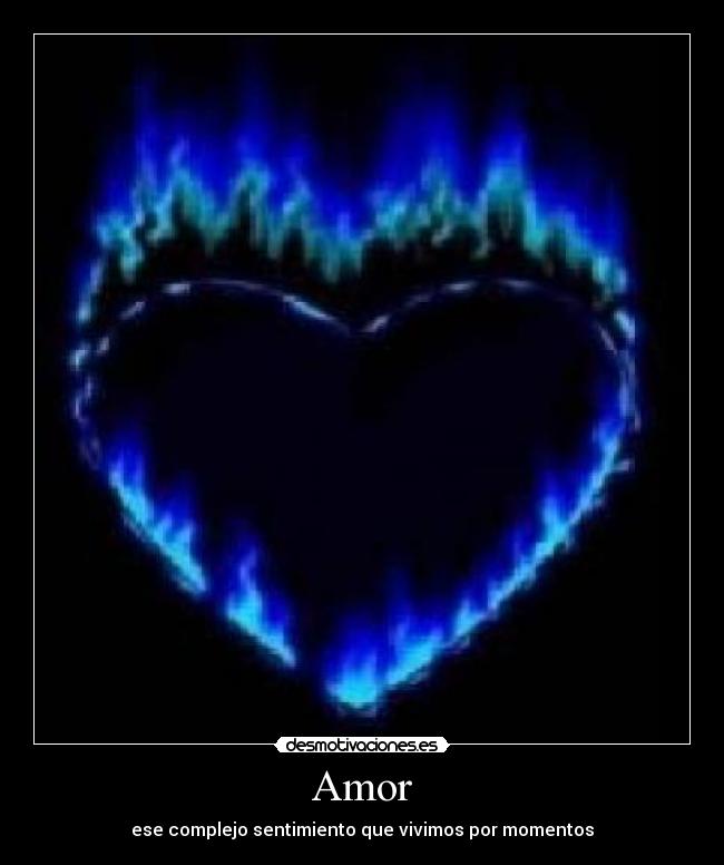 Amor - ese complejo sentimiento que vivimos por momentos