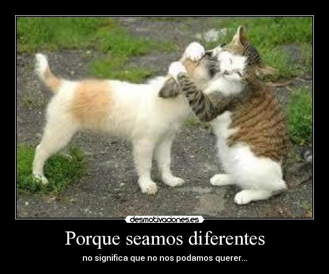 Porque seamos diferentes - no significa que no nos podamos querer...