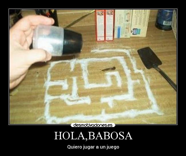 HOLA,BABOSA -