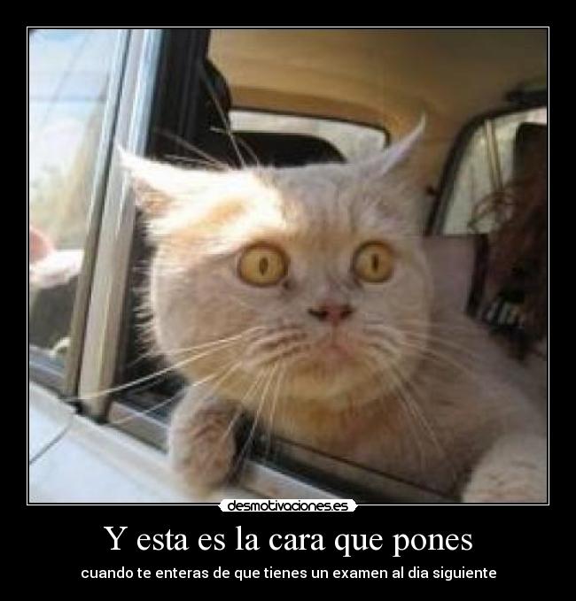 Y esta es la cara que pones -