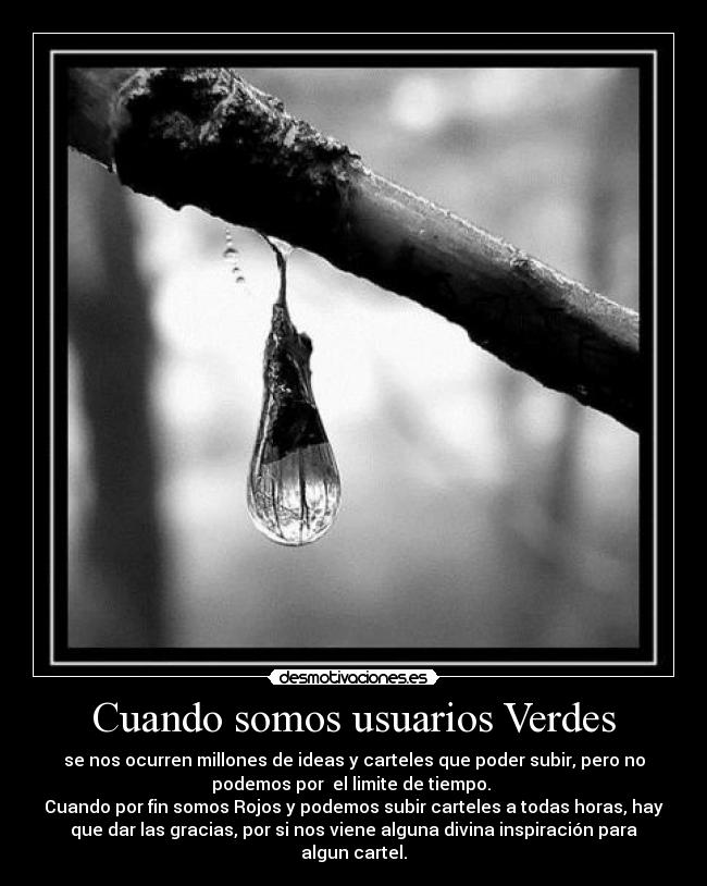 carteles votad positivo guste votes desmotivaciones