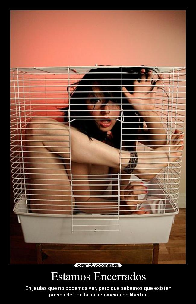 Estamos Encerrados - En jaulas que no podemos ver, pero que sabemos que existen
presos de una falsa sensacion de libertad