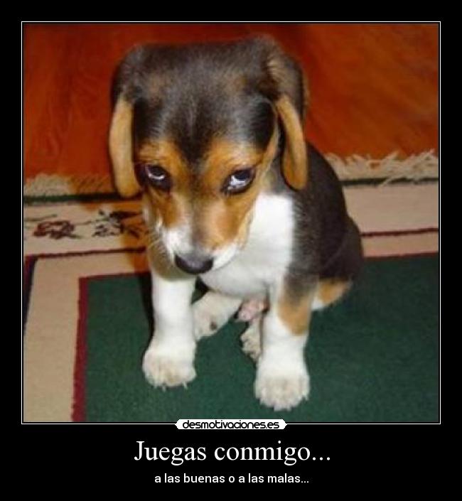 Juegas conmigo... - a las buenas o a las malas...