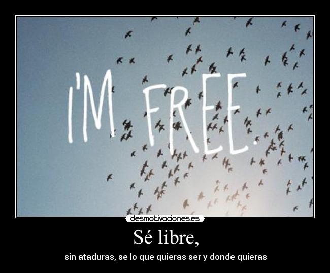 carteles libre desmotivaciones