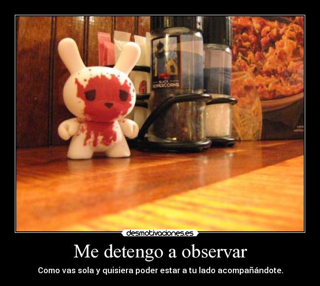 Me detengo a observar - 