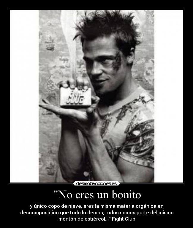 No eres un bonito - y único copo de nieve, eres la misma materia orgánica en
descomposición que todo lo demás, todos somos parte del mismo
montón de estiércol... Fight Club