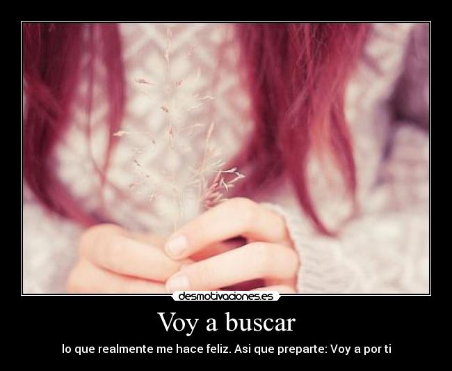 Voy a buscar - 