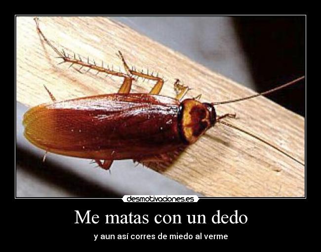 Me matas con un dedo -