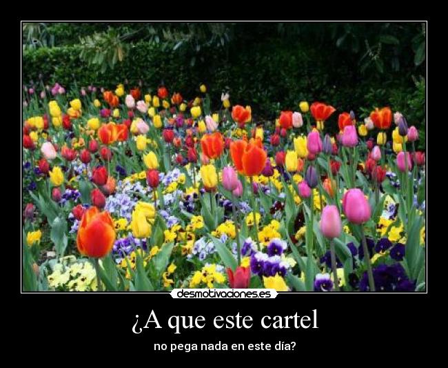 ¿A que este cartel - 