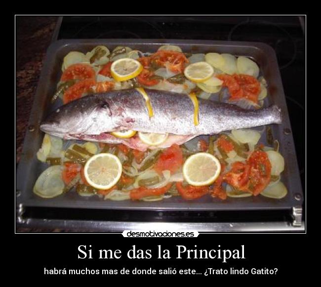 Si me das la Principal - habrá muchos mas de donde salió este... ¿Trato lindo Gatito?
