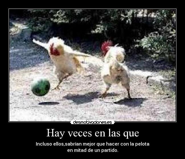 carteles pollos futboleros desmotivaciones