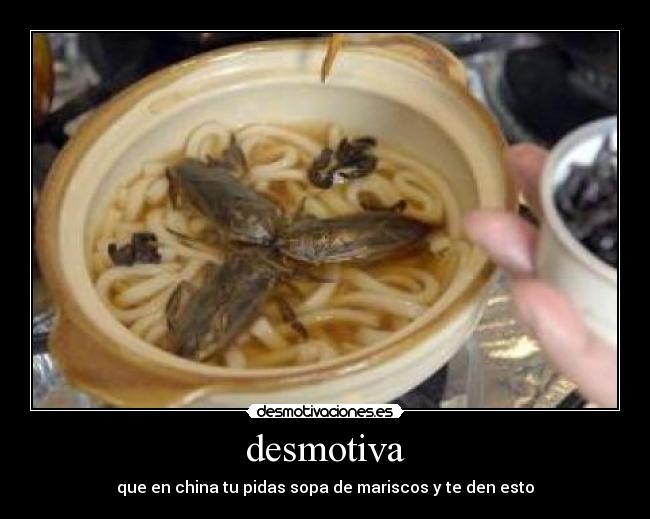 desmotiva - que en china tu pidas sopa de mariscos y te den esto
