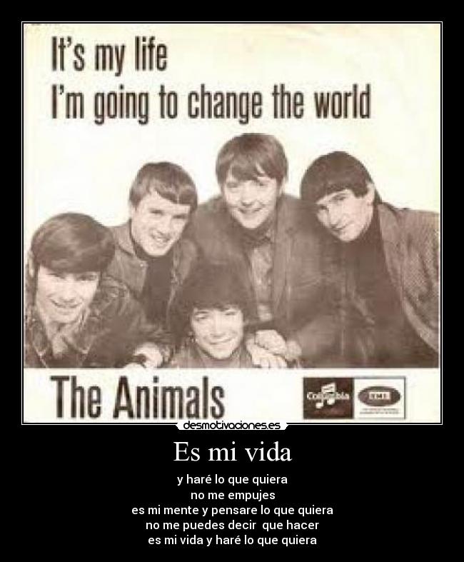 Es mi vida - 