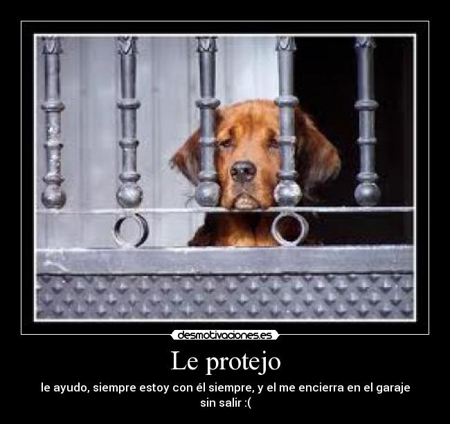 Le protejo -