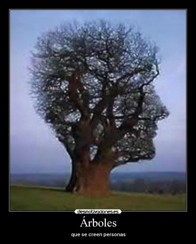 Árboles -