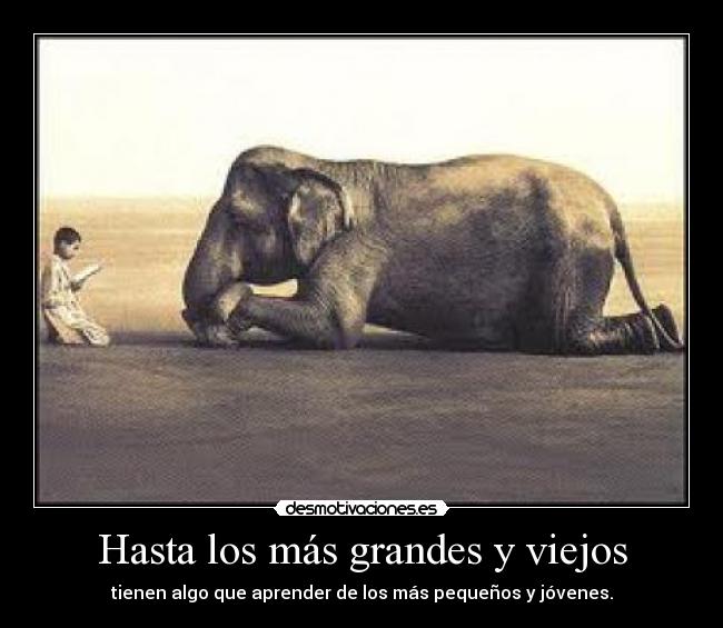 Hasta los más grandes y viejos - tienen algo que aprender de los más pequeños y jóvenes.
