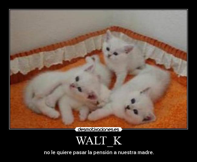 WALT_K -