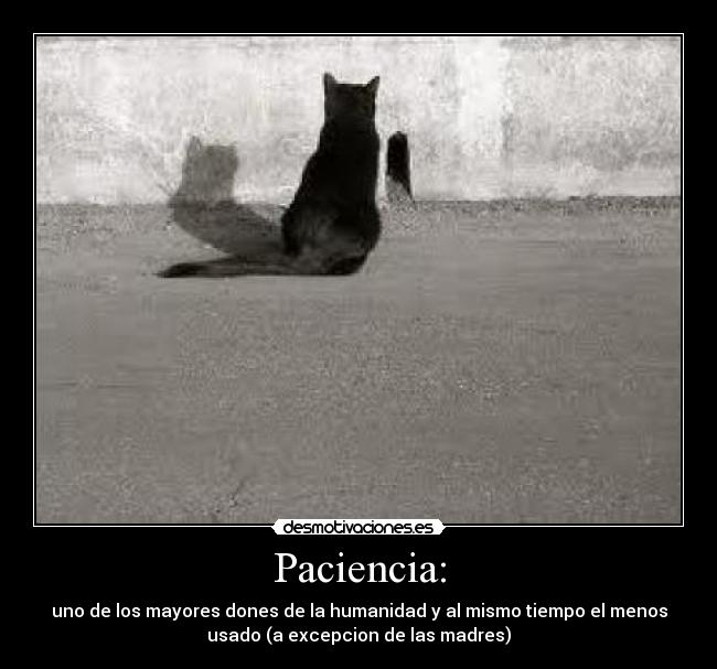 Paciencia: -