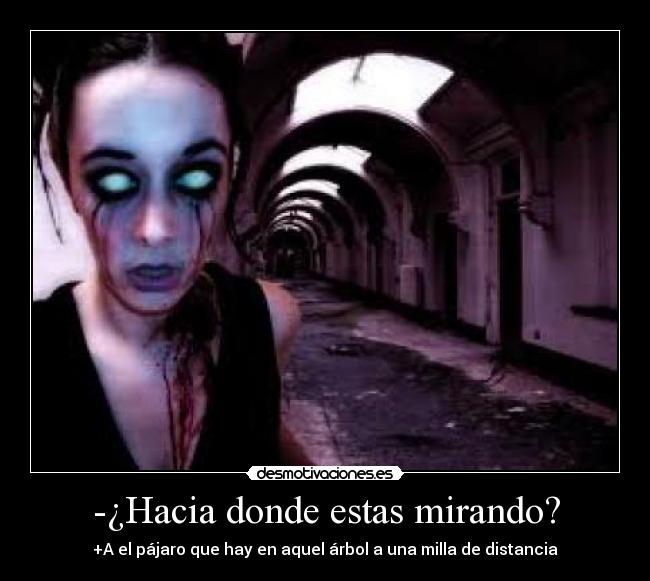 -¿Hacia donde estas mirando? - 