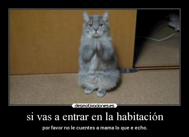 si vas a entrar en la habitación - 