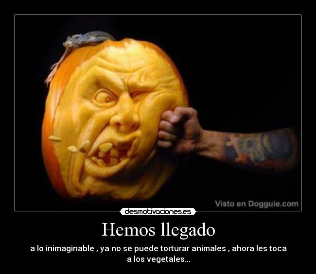 Hemos llegado - a lo inimaginable , ya no se puede torturar animales , ahora les toca a los vegetales...