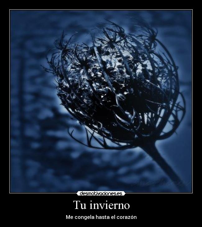 Tu invierno - Me congela hasta el corazón