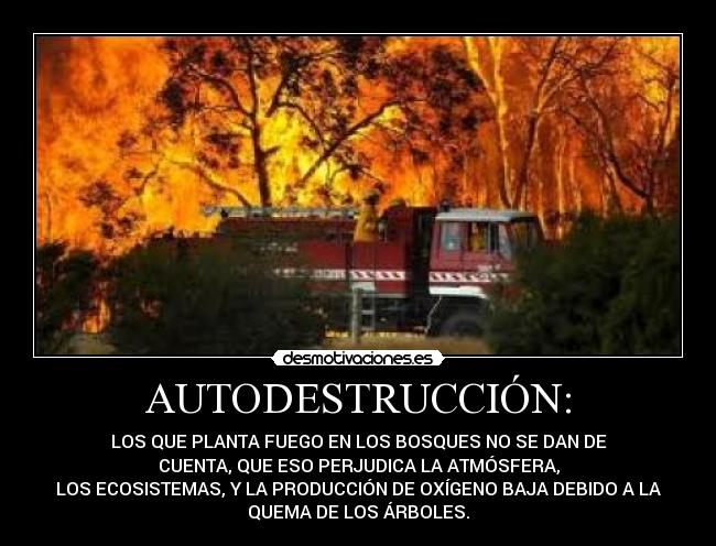 AUTODESTRUCCIÓN: - LOS QUE PLANTA FUEGO EN LOS BOSQUES NO SE DAN DE
CUENTA, QUE ESO PERJUDICA LA ATMÓSFERA,
LOS ECOSISTEMAS, Y LA PRODUCCIÓN DE OXÍGENO BAJA DEBIDO A LA
QUEMA DE LOS ÁRBOLES.
