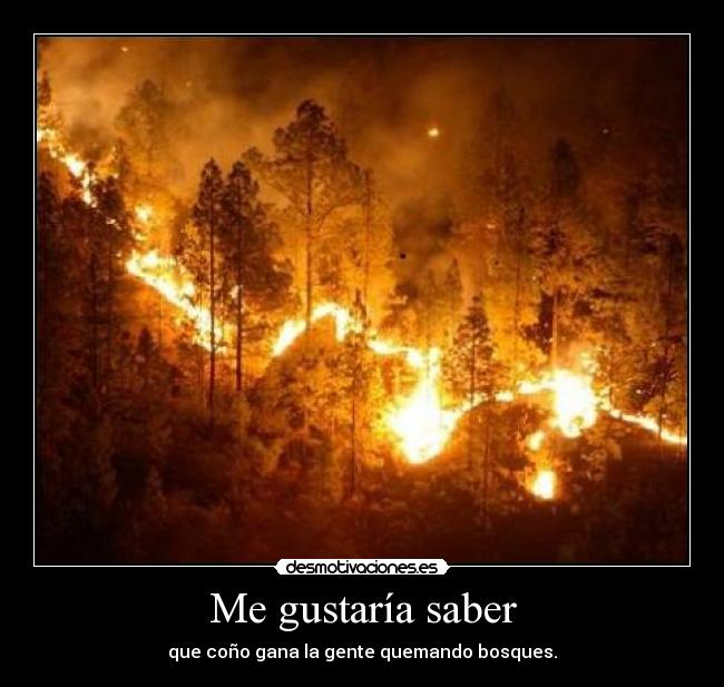 Me gustaría saber -