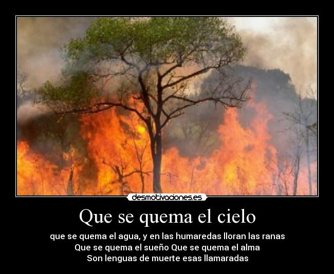 Que se quema el cielo - que se quema el agua, y en las humaredas lloran las ranas
Que se quema el sueño Que se quema el alma
Son lenguas de muerte esas llamaradas