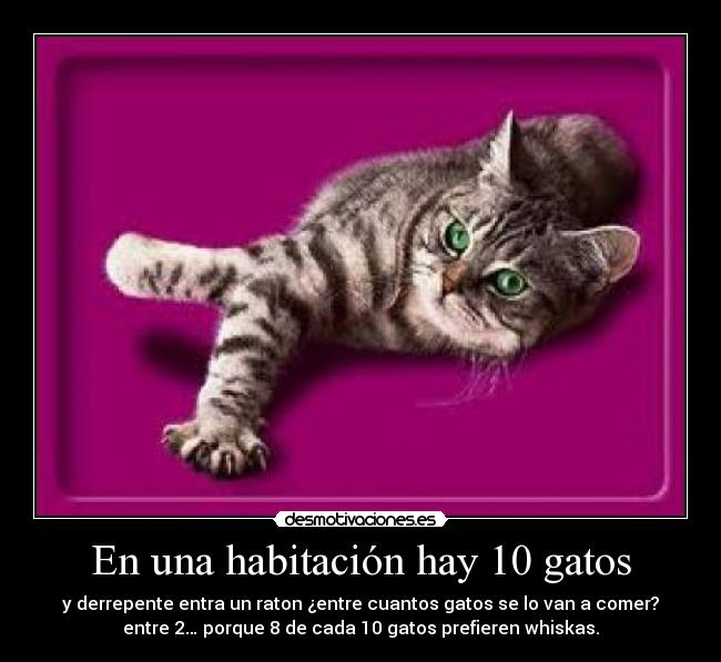 carteles gatos 1234 desmotivaciones