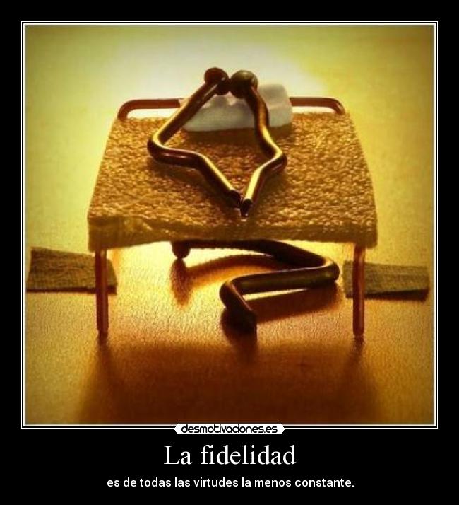 La fidelidad - 