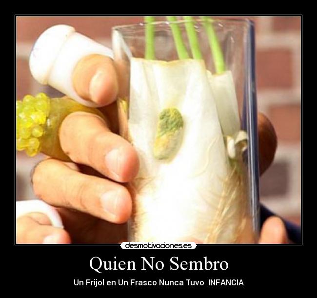 Quien No Sembro - 