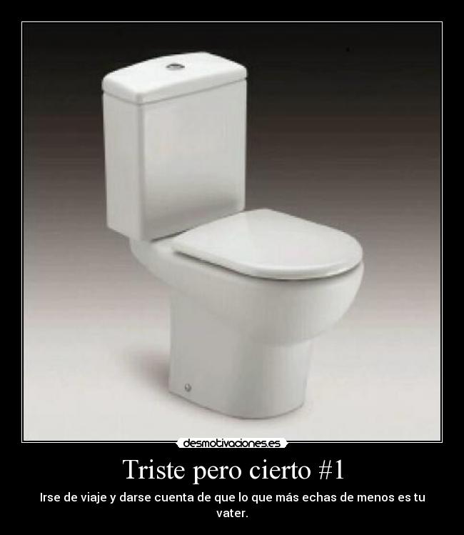 Triste pero cierto #1 - Irse de viaje y darse cuenta de que lo que más echas de menos es tu vater.