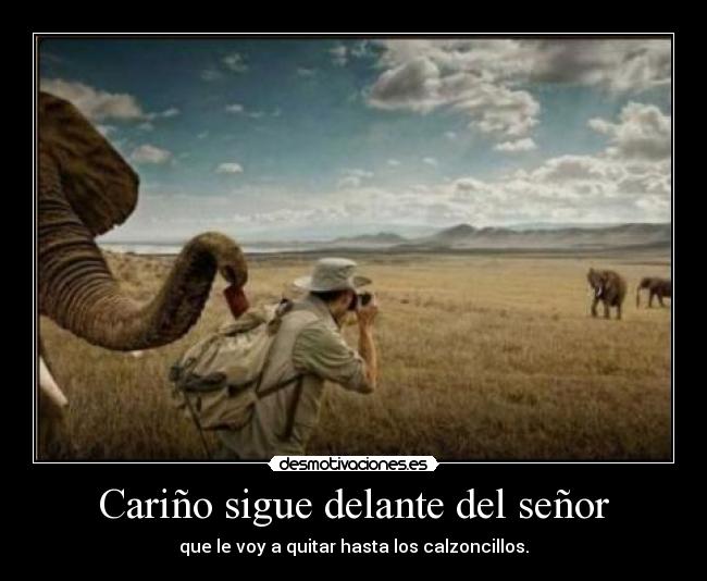 Cariño sigue delante del señor -