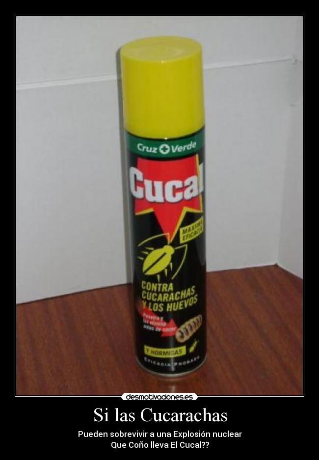 carteles cucarachas desmotivaciones