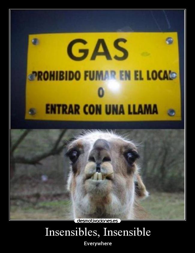 Insensibles, Insensible - 