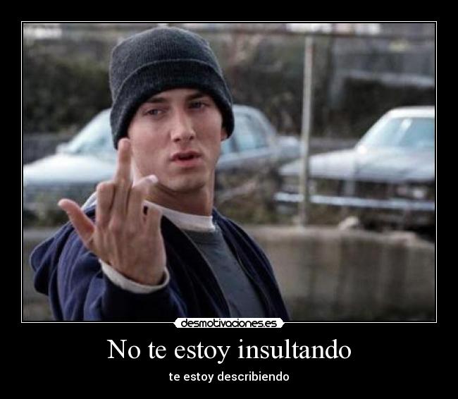 No te estoy insultando - te estoy describiendo
