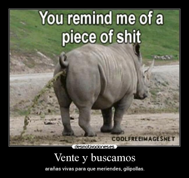 Vente y buscamos - arañas vivas para que meriendes, gilipollas.